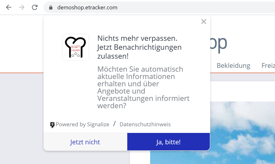 gestylter Opt-In